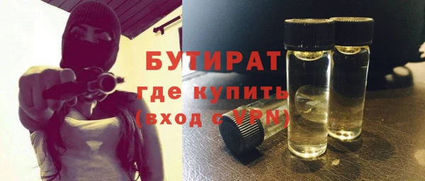 сатива Каменка