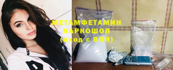 сатива Каменка