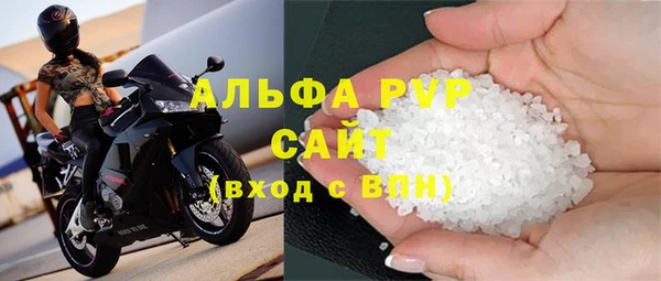 сатива Каменка