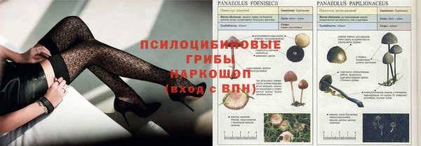 ешки Каменск-Шахтинский
