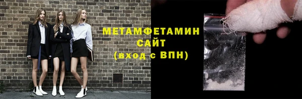 сатива Каменка