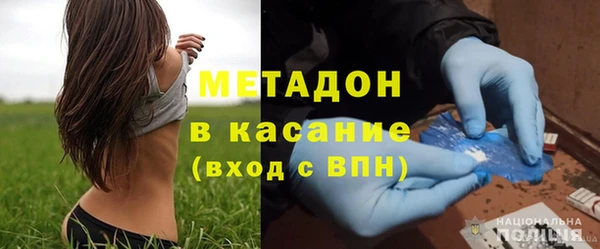 сатива Каменка