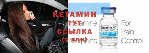 сатива Каменка