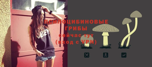 ешки Каменск-Шахтинский