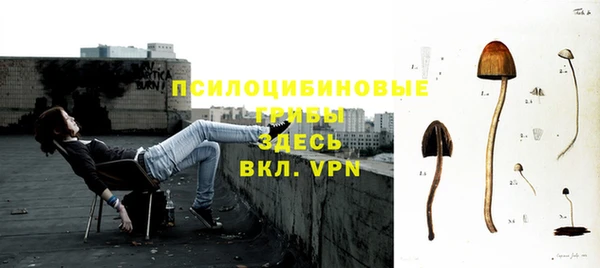 сатива Каменка