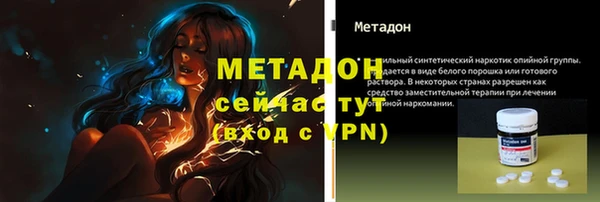 сатива Каменка