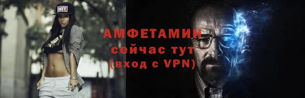 сатива Каменка