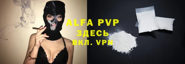 сатива Каменка