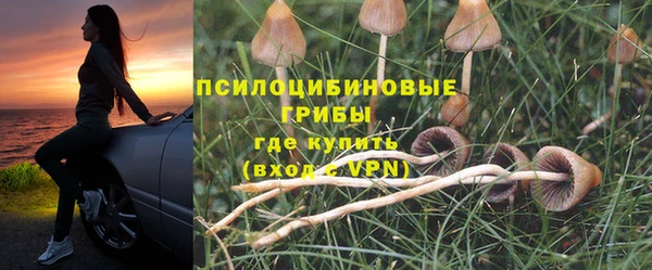 дурь Каменногорск