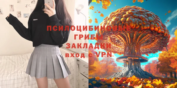 ешки Каменск-Шахтинский
