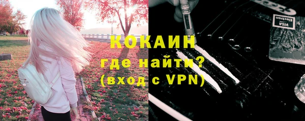 сатива Каменка