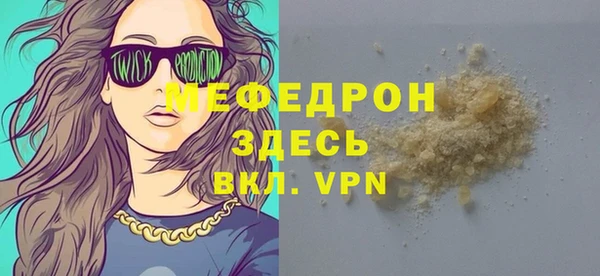 сатива Каменка