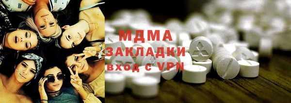 сатива Каменка