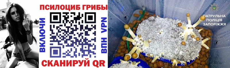 Купить  Луховицы  Псилоцибиновые грибы Psilocybine cubensis 